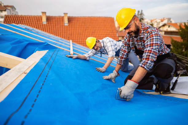 Quick and Trustworthy Emergency Roof Repair Services in West Blocton, AL