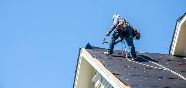 Professional Roofing Contractor in West Blocton, AL